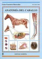 Portada del Libro Anatomia Del Caballo