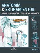 Anatomia & Estiramientos: Guia De Estiramientos Descripcion Anatomica