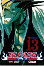 Bleach Nº 13