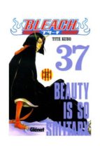 Bleach Nº 37