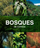 Portada del Libro Bosques De España