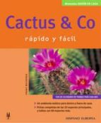 Portada del Libro Cactus & Co: Jardin En Casa