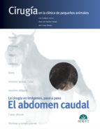 Portada del Libro Cirugia En La Clinica De Pequeños Animales. El Abdomen Caudal