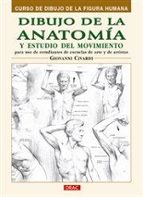 Portada del Libro Dibujo De La Anatomia Y Estudio Del Movimiento: Curso De Dibujo D E La Figura Humana