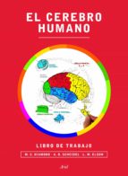 Portada del Libro El Cerebro Humano: Libro De Trabajo