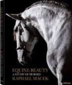 Portada del Libro Equine Beauty