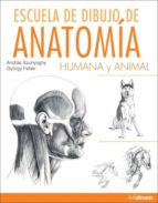 Portada del Libro Escuela De Dibujo De Anatomia Humana Y Animal