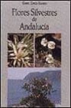 Flores Silvestres De Andalucia