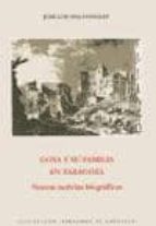 Goya Y Su Familia En Zaragoza: Nuevas Noticias Biograficas