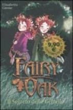 Il Segreto Delle Gemelle: Fairy Oak