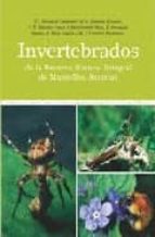 Portada del Libro Invertebrados De La Reserva Natural Integral De Muniellos