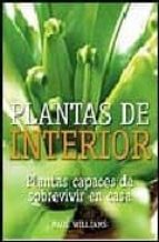 Plantas De Interior: Plantas Capaces De Sobrevivir En Casa