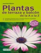 Plantas De Terraza Y Balcon De La A A La Z