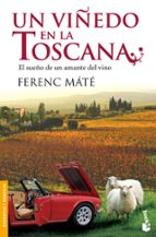 Un Viñedo En La Toscana